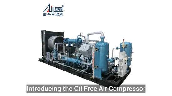 Oil Free Air Compressor Piston Compressor Gas Natural 40 Years of Professional Design, Production, Sales, and Maintenance Free-Oil Hydrogen Reciprocating